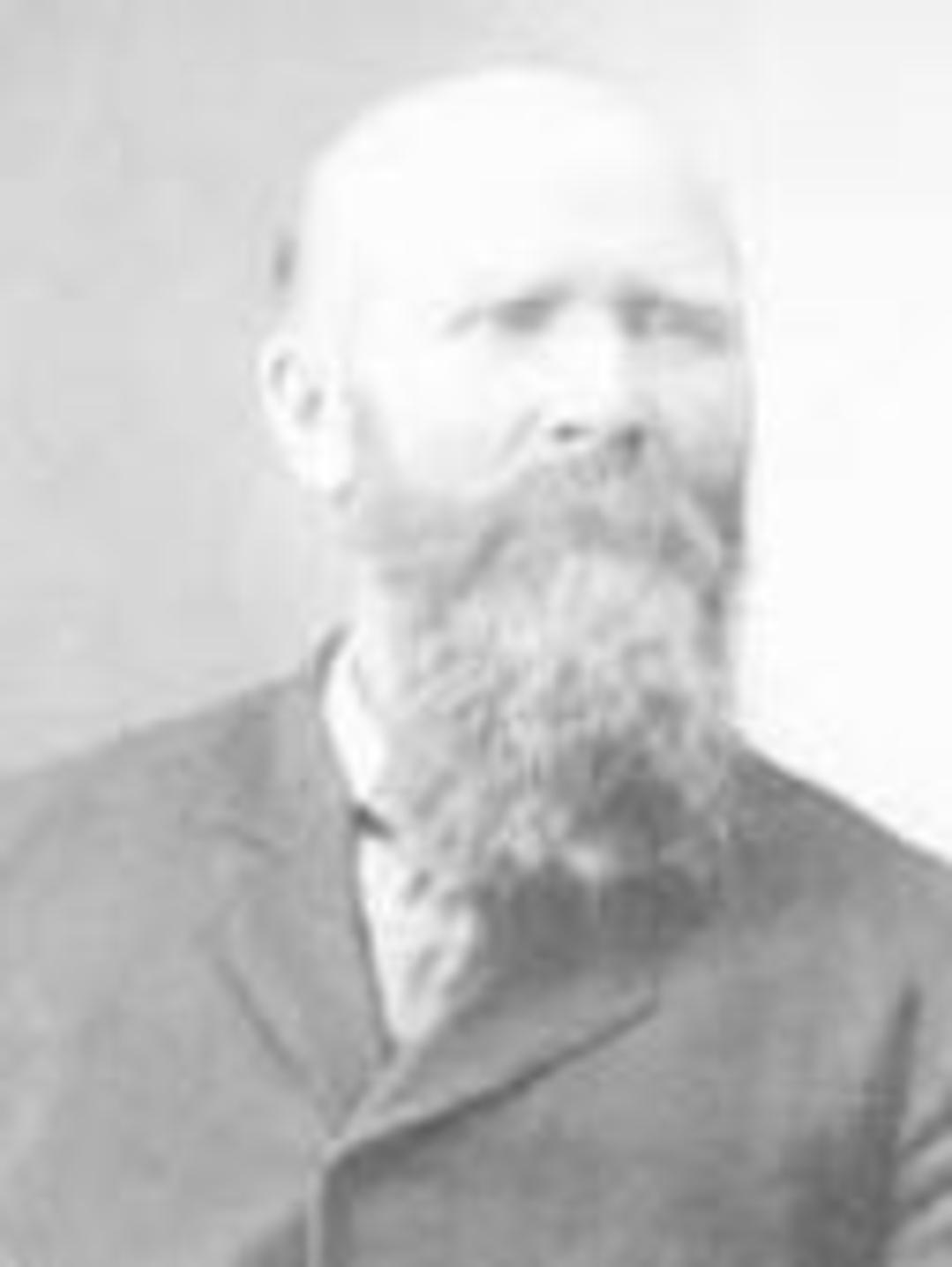 Charles Magnus Olasson Ahlstrom (1842 - 1905) Profile